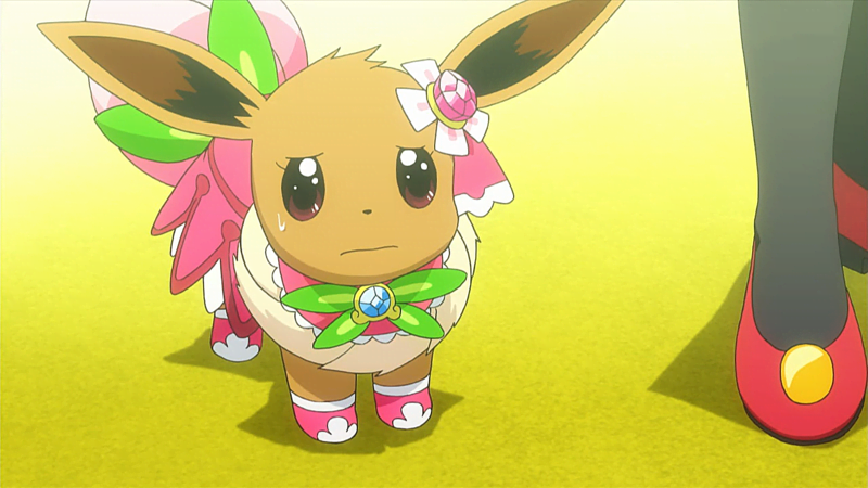 Caring for your Eevee