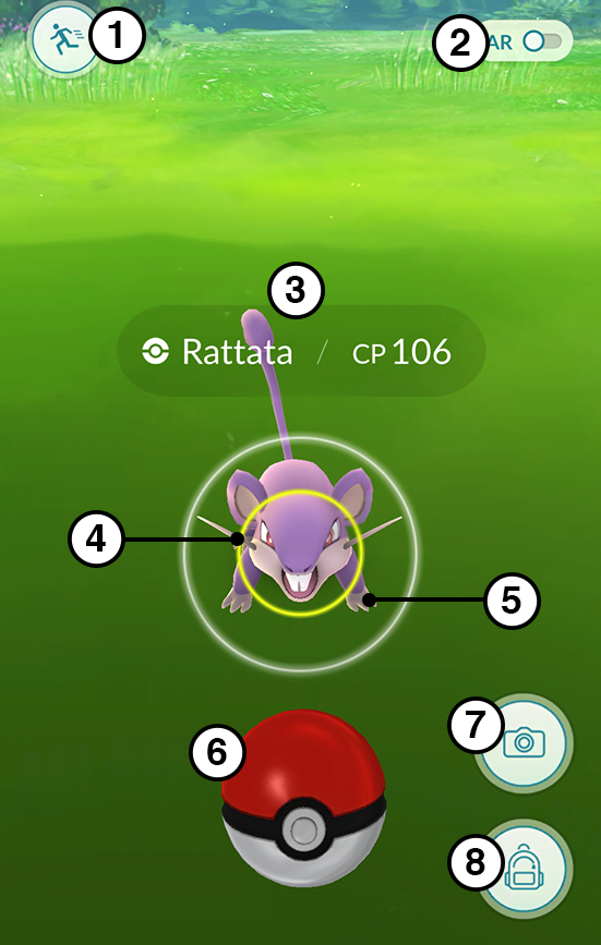 In order of number: Run option, AR toggle, information, Target ring, Wild Pokémon, Poké Ball, Camera, and Bag (for items).