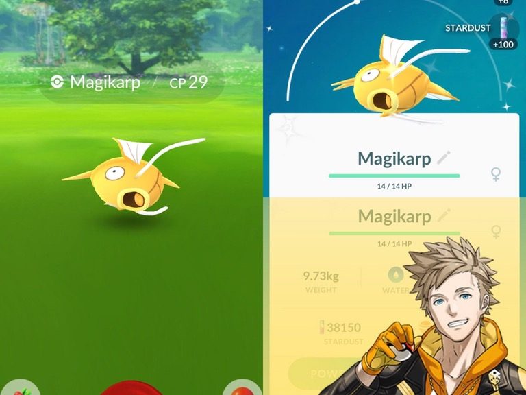 Shiny Magikarp and Gyarados found in Pokémon GO