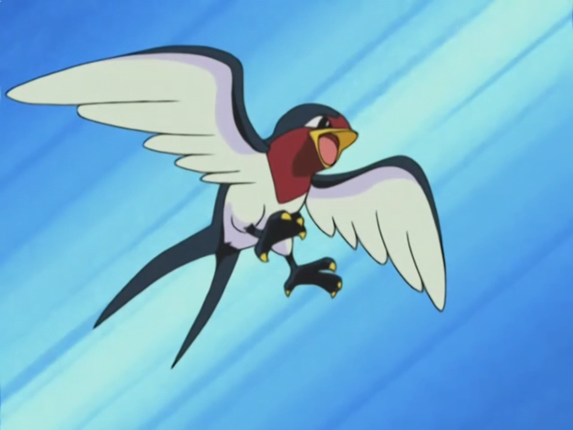 Ash Taillow Pokecommunity Daily