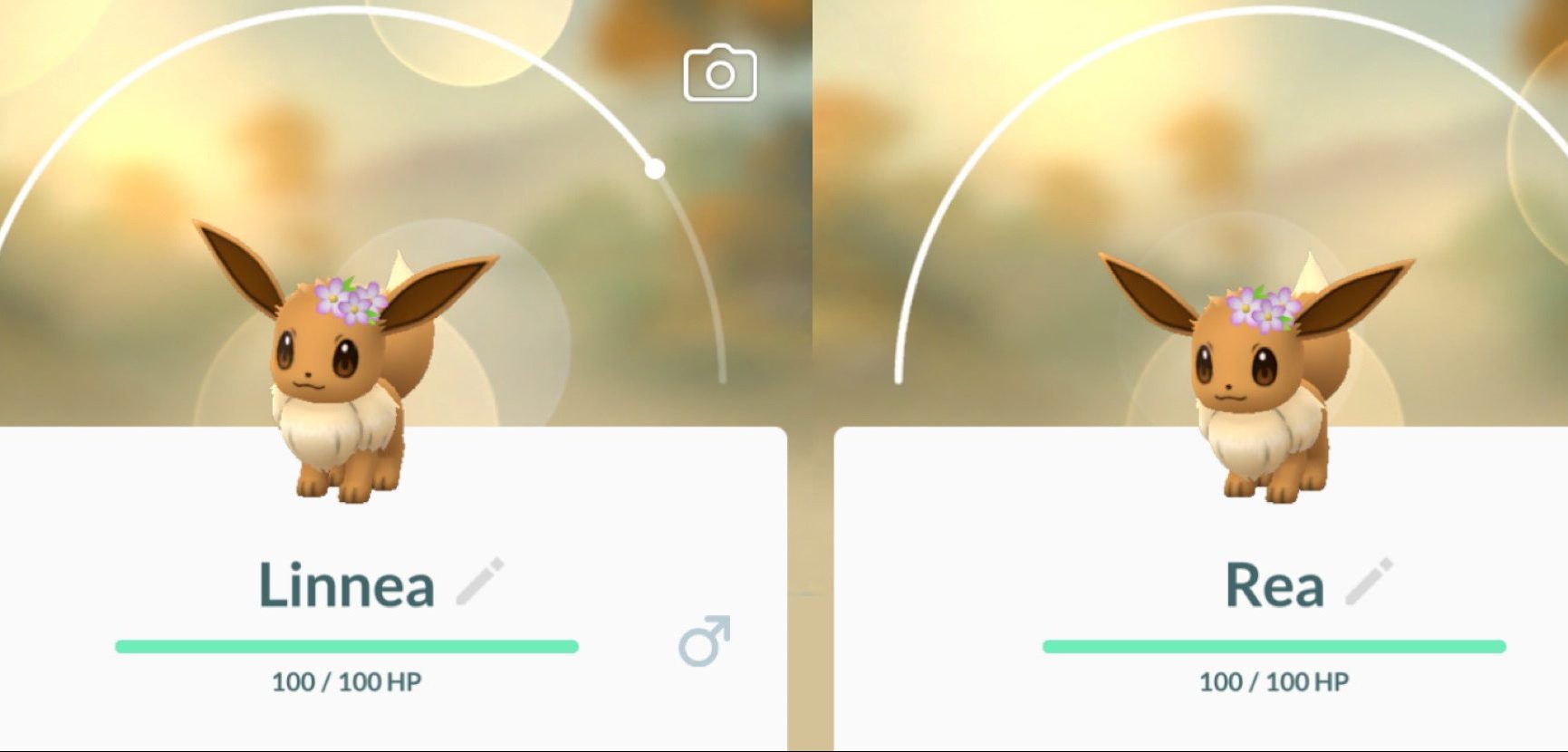 New nicknames discovered for Glaceon, Leafeon evolution in GO