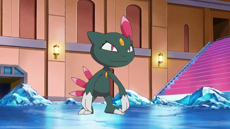 Candice's Sneasel