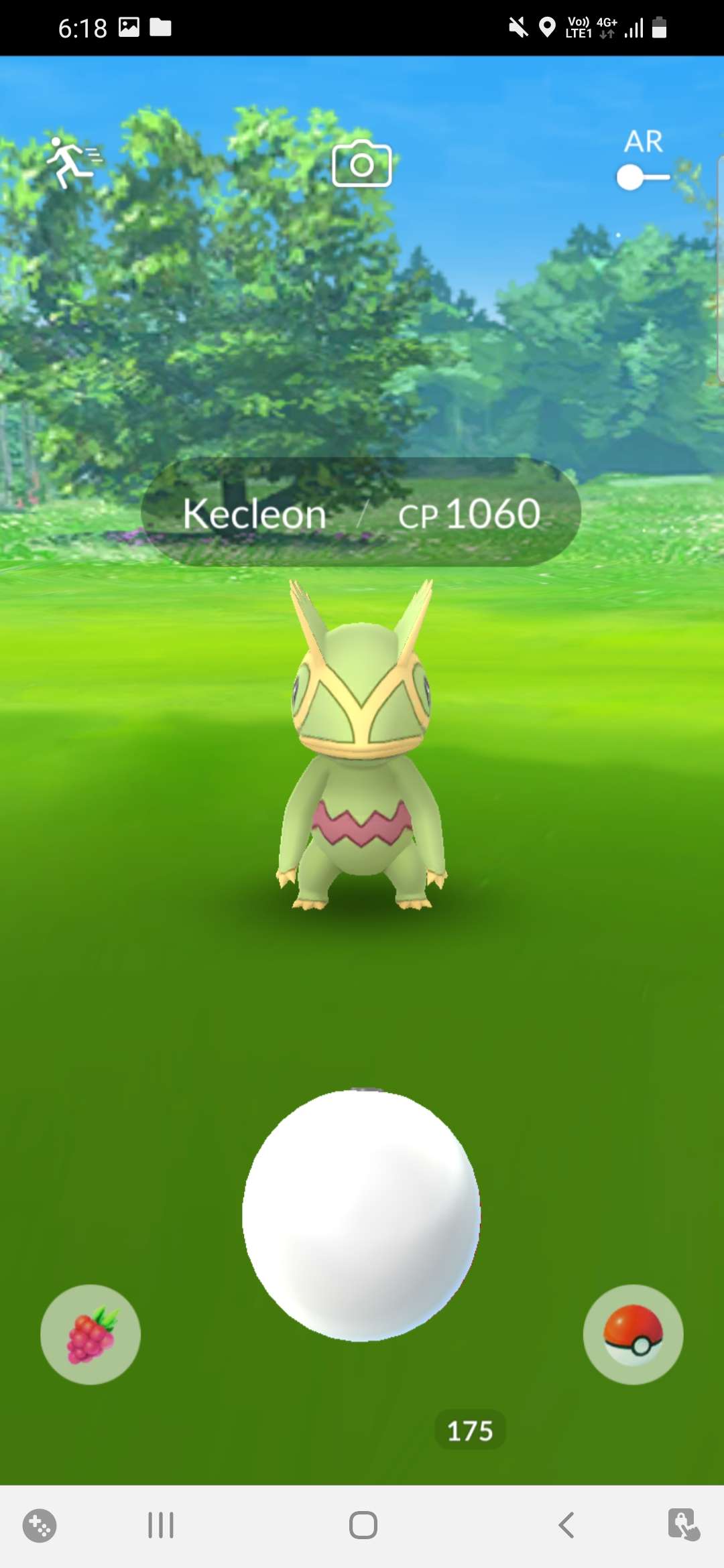 Kecleon  Pokemon, Pokemon go